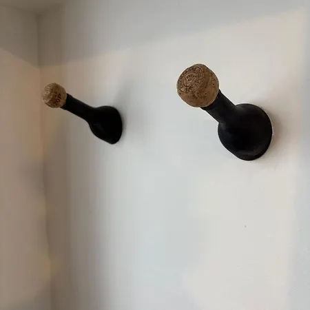 L'effervescence Appartement *